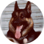 1.gif (6414 bytes)
