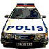 policecar.gif (33603 bytes)